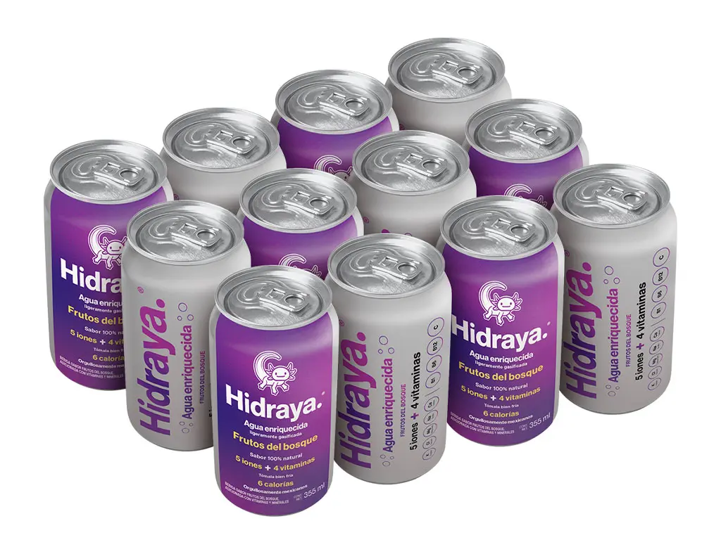 Hidraya Agua Enriquecida 12 pack sabor Frutos del Bosque